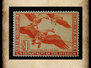 Us Federal Duck Stamp Scott Rw11 $1 1944 Migratory Bird Hunting Mh Og