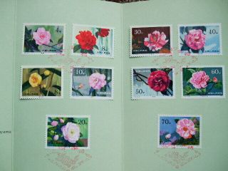 China - Camellas - Of - Yunnan - Stamps - In Pack 1978