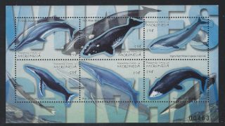 Micronesia 2001 Whales S/s Sc 416 Nh