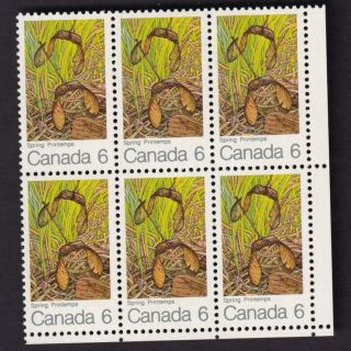 Canada Mnh Pane Of 6: 1971 Sc 535 Maple In Spring (broken A)