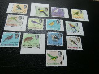British GAMBIA 1963 SG193 - SG205 MNH QUEEN BIRDS €150,  MNH GEM 2