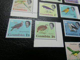 British GAMBIA 1963 SG193 - SG205 MNH QUEEN BIRDS €150,  MNH GEM 3