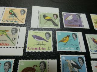 British GAMBIA 1963 SG193 - SG205 MNH QUEEN BIRDS €150,  MNH GEM 4