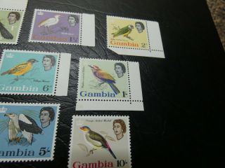 British GAMBIA 1963 SG193 - SG205 MNH QUEEN BIRDS €150,  MNH GEM 5