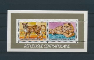 Lk56035 Central Africa Pets Animals Fauna Flora Cats Good Sheet Mnh