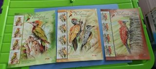 Thematics - Birds - Woodpeckers - Malaysia 2013 Part Sheets Mnh - - As Seen