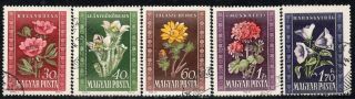 5115 - Hungary 1950 - Flowers - Flora - Set