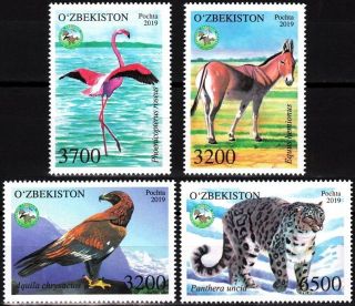 Uzbekistan 2019 Fauna: Birds (eagle,  Flamingo) Kulan (wild Donkey) Leopard,  Mnh