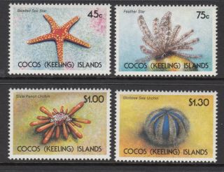 Cocos (keeling) Islands 1991 Sea Urchins And Starfish