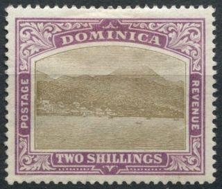 Dominica 1903 - 1907 Sg 34,  2s Grey - Black & Purple Wmk Cc Ord.  Paper Mh D83515