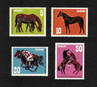 East Germany 1967 Thoroughbred Horses Complete Set Of 4 Values (sg E1021 - 4) Mnh