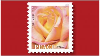One Book Of 20 Flower Love Wedding Usps First Class Forever Postage Stamps