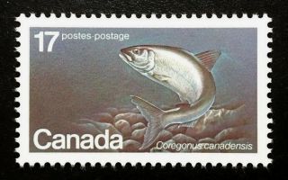 Canada 853 Mnh,  Endangered Wildlife - Atlantic Whitefish Stamp 1980