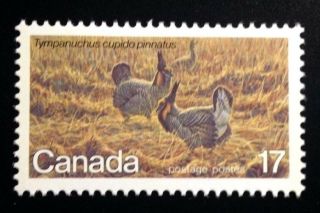 Canada 854 Mnh,  Endangered Wildlife - Greater Prairie Chicken Stamp 1980