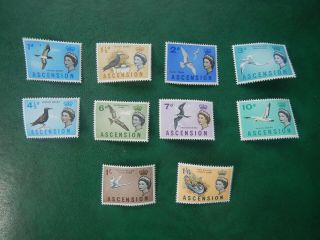 Thematic - Birds On Stamps Unmounted Ascension Island