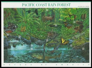 Usa Sc.  3378 33c Pacific Coast Rain Forest Mnh Pane Of 10