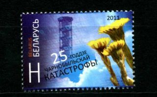 2011.  Belarus.  25th Anniversary Of The Chernobyl Disaster.  Stamp