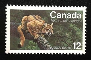 Canada 732 Mnh,  Endangered Wildlife - Eastern Cougar Stamp 1977