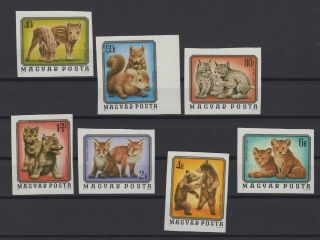 Hungary,  Magyar,  Stamps,  1976,  Mi.  3098 - 3104 B.