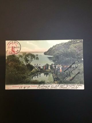 Zealand Postcard 1905.  Auckland To Melbourne.  Universal Penny Postage.