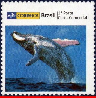 3258 - 15 Brazil 2013 Blue Whale,  Personalized Stamp,  Mnh