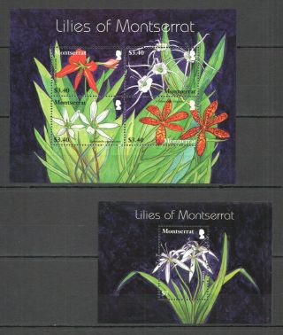 G1532 Montserrat Flora Nature Flowers Liles Of Montserrat Bl,  Kb Mnh Stamps