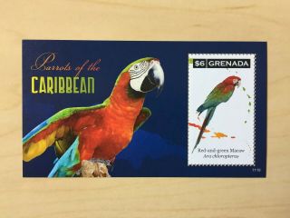 Grenada 2011 Bird Parrot Sheet Mnh