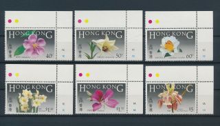 Lk49668 Hong Kong Corners Plants Flora Nature Flowers Fine Lot Mnh