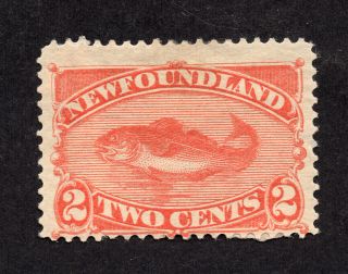 Newfoundland 48 2 Cent Red Orange Codfish Issue Mh Gum