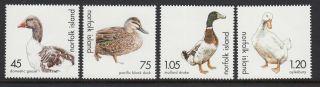 Norfolk Island 2000 Ducks And Geese