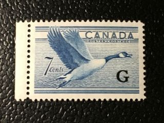 Vf Mnh Sc O31 7c Canada Goose G Overprint Official