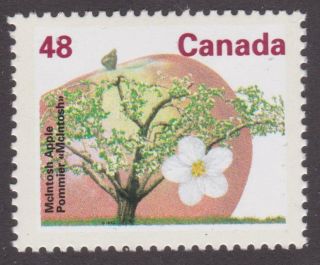 Canada 1991 1363 Fruit Tree Definitive: Mcintosh Apple - Mnh