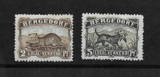 L2259 German States Bergedorf Local Stamps