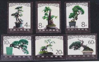 China 1981 Miniature Trees Set 6v Mnh Scott 1665 - 70 / T21158