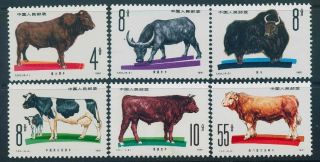 China Prc Sc1679 84 (6) Cplset (t - 63) 1981 Cattle Breeds (10c Gum Dist) Mnh $14