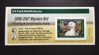 Rw73a 2006 - 2007 - Us Federal Duck Stamp - Post Office Fresh