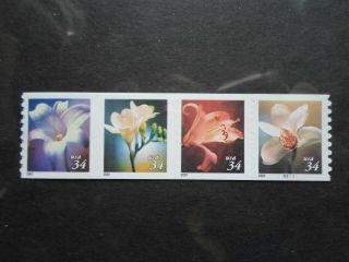 2001 Four Flowers - Cat 3478 - 81 Strip Of Four 34 Cent Coil Stamps Mnh