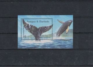 C696.  Antigua & Barbuda - Mnh - Marine Life - Whales