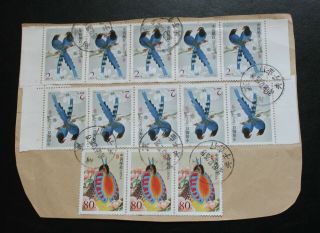 13 Pieces Of P R China Birds Stamps 南京夫子庙 On Paper