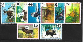 Poland Sc 1971 - 8 Nh Issue Of 1973 - Hunting - Animals