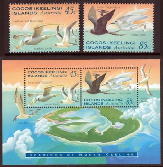 Cocos (keeling) Islands 1995 Seabirds Set & Souvenir Sheet