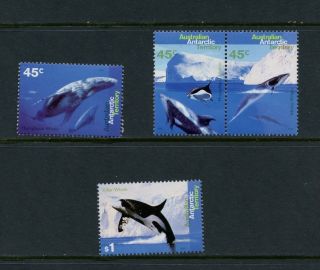 Q134 Australian Antarctic Territory Whales And Dolphins Mnh