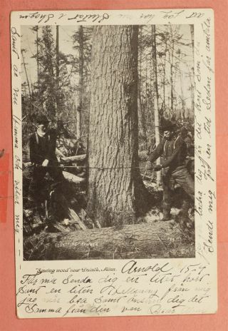 190? Dpo 1898 - 1907 Arnold Mn Cancel Tree Saw Duluth Minnesota Postcard