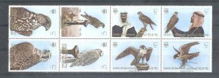 (856787) Birds,  Falcon,  Bird Of Prey,  Bahrain