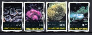 Cocos (keeling) Islands 1993 Corals