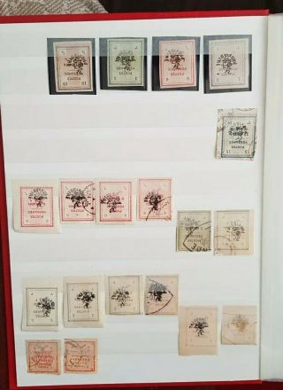 Middle East 1902 - 06 Persanes Lot Mnh Uh Mh Perf Imperf Rare Fresh
