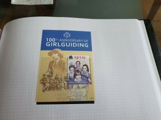 Nevis 2010 Sg Ms2189 Cent Of Girl Guiding Mnh