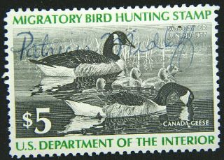 Us Duck Stamp 1976 $5 Canada Geese Scott Rw43