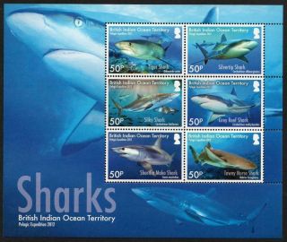 B.  I.  O.  T Mnh 2016 Sharks Minisheet