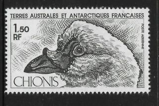 Taaf French Antarctic 1981 Chionis Bird 1v Mnh